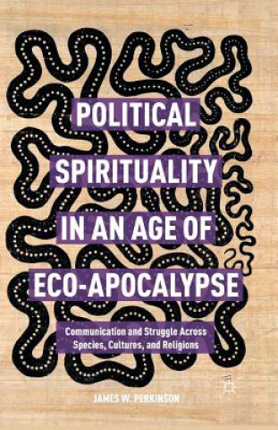 Книга Political Spirituality in an Age of Eco-Apocalypse James W. Perkinson