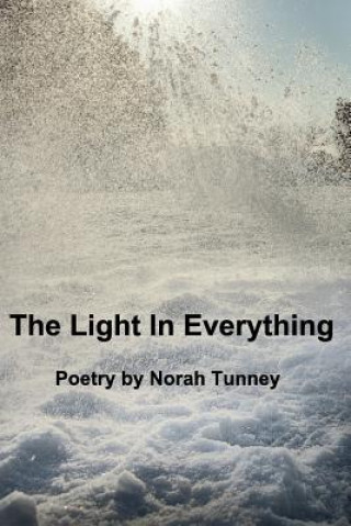 Buch Light In Everything Norah Tunney