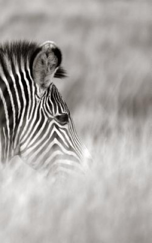 Knjiga Alive! zebra stripes - Black and white - Photo Art Notebooks (5 x 8 series) Eva-Lotta Jansson