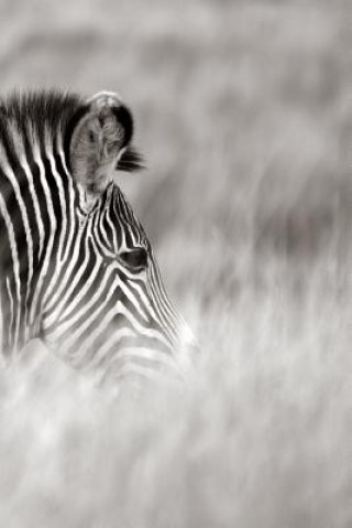 Kniha Alive! zebra stripes - Black and white - Photo Art Notebooks (6 x 9 series) Eva-Lotta Jansson