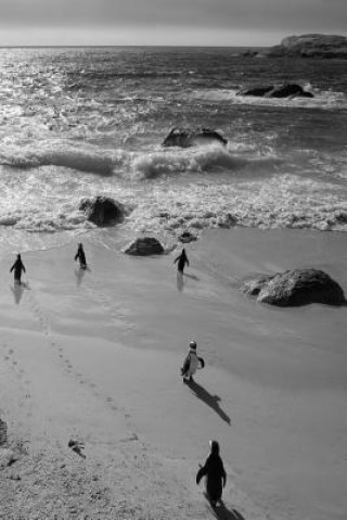 Carte Alive! little penguin friends - black and white - Photo Art Notebooks (6 x 9 series) Eva-Lotta Jansson