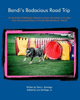 Book Bandi's Bodacious Road Trip Luis Santiago Jr