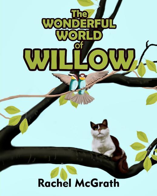 Carte The Wonderful World of Willow Rachel McGrath