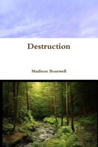 Kniha Destruction Madison Boutwell