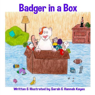 Boek Badger in a Box Sarah Keyes