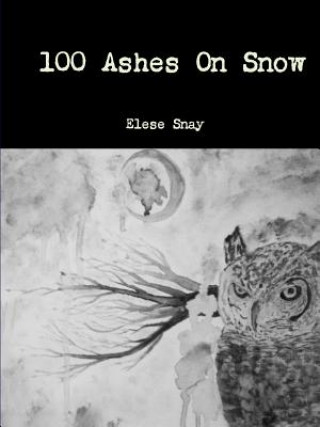 Книга 100 Ashes on Snow Elese Snay