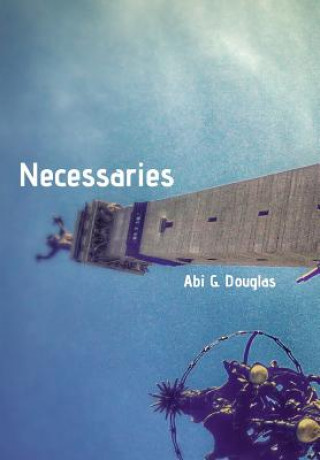 Kniha Necessaries Abi G. Douglas