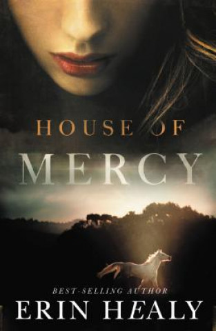 Kniha House of Mercy Erin Healy