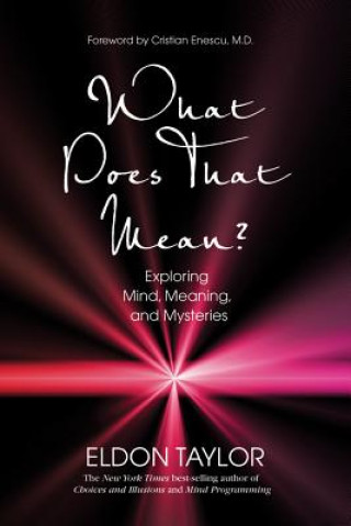 Książka What Does That Mean?: Exploring Mind, Meaning, and Mysteries Eldon Taylor