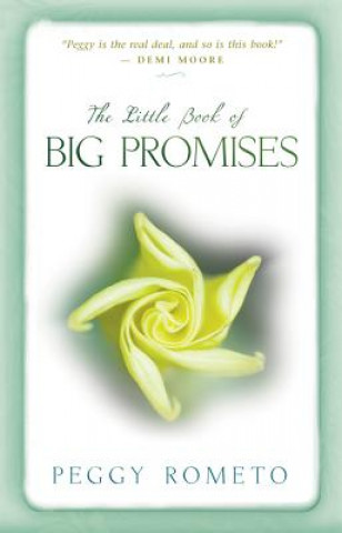 Carte The Little Book of Big Promises Peggy Rometo