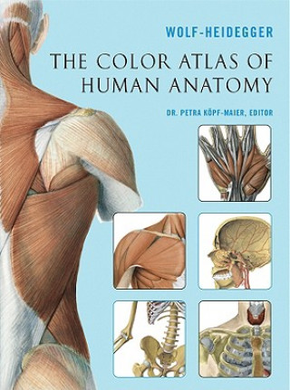 Livre The Color Atlas of Human Anatomy G. Wolf-Heidegger