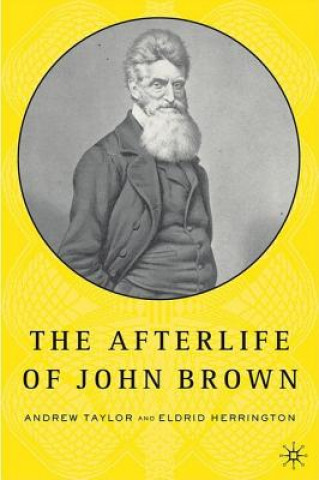 Book Afterlife of John Brown Andrew Taylor