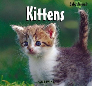 Knjiga Kittens Alice Twine