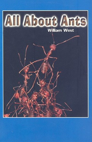 Boek All about Ants William West