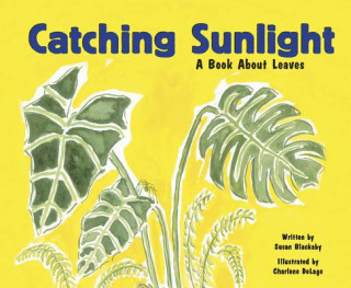 Kniha Catching Sunlight: A Book about Leaves Susan Blackaby