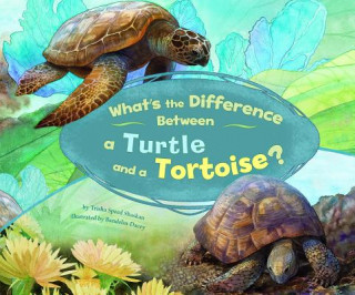 Könyv What's the Difference Between a Turtle and a Tortoise? Trisha Speed Shaskan