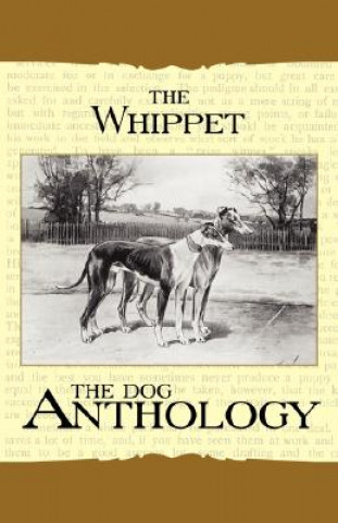 Book The Whippet - A Dog Anthology (A Vintage Dog Books Breed Classic) Various