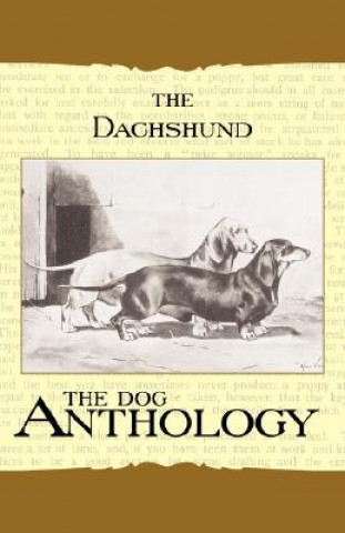Carte The Daschund - A Dog Anthology (A Vintage Dog Books Breed Classic) Various