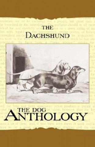 Knjiga The Daschund - A Dog Anthology (A Vintage Dog Books Breed Classic) Various