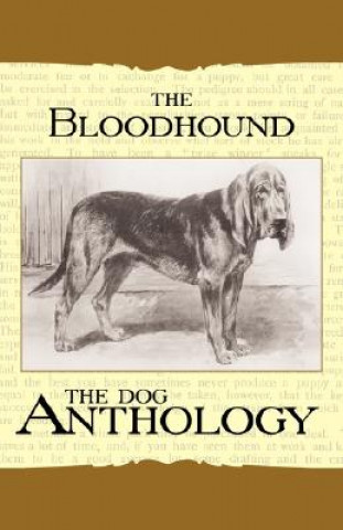 Carte The Bloodhound - A Dog Anthology (A Vintage Dog Books Breed Classic) Various