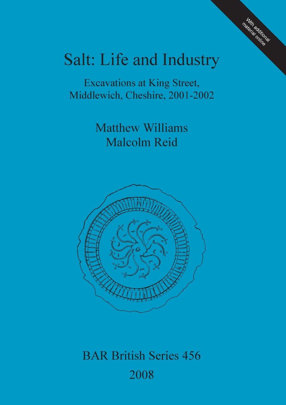 Kniha Salt: Life and Industry Matthew Williams
