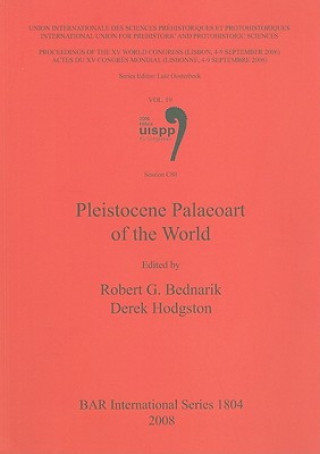 Kniha Pleistocene Palaeoart of the World Robert G. Bednarik