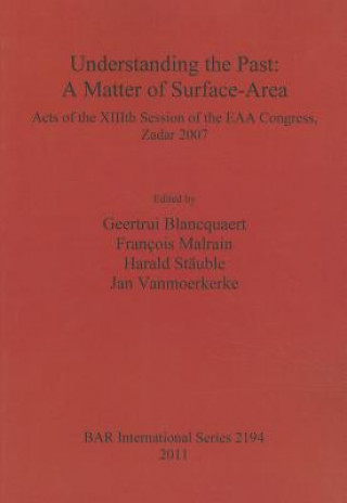 Könyv Understanding the Past: a Matter of Surface-Area Geertrui Blancquaert