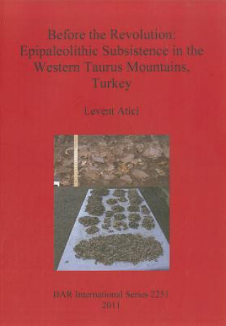 Könyv Before the Revolution: Epipaleolithic Subsistence in the Western Taurus Mountains Turkey Levent Atici