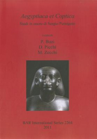 Könyv Aegyptiaca et Coptica Studi in onore di Sergio Pernigotti D. Picchi