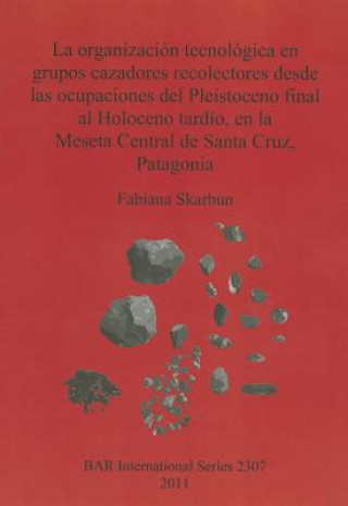 Kniha organizacion  tecnologica en grupos cazadores recolectores desde las ocupaciones del Pleistoceno final al Holoceno tardio en la Meseta Central de Sant Fabiana Skarbun
