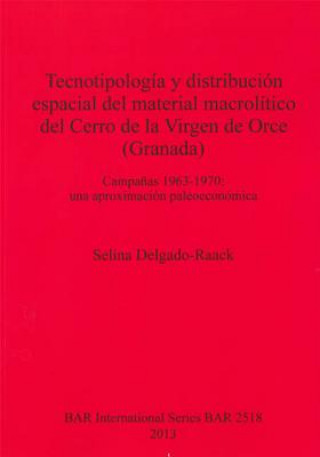 Buch Tecnotipologia y distribucion espacial del material macrolitico del Cerro de la Virgen de Orce (Granada) Campanas 1963-1970 Selina Delgado-Raack