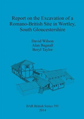 Kniha Report on the Excavation of a Romano-British Site in Wortley South Gloucestershire David Wilson