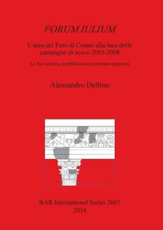 Книга FORUM IULIUM L'area del Foro di Cesare alla luce delle campagne di scavo 2005-2008 Alessandro Delfino