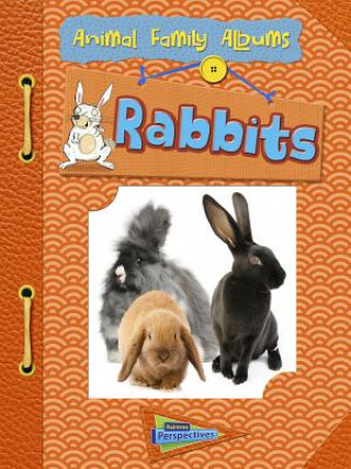 Carte Rabbits Charlotte Guillain