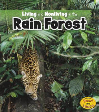 Knjiga Living and Nonliving in the Rain Forest Rebecca Rissman