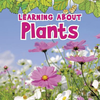 Kniha Learning about Plants Catherine Veitch