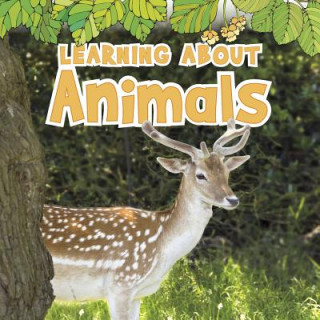 Книга Learning about Animals Catherine Veitch