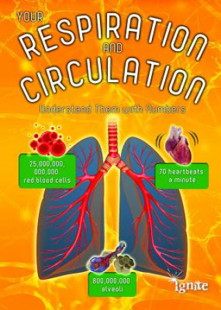 Kniha Your Respiration and Circulation: Understand Them with Numbers Melanie Waldron