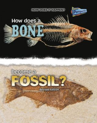 Carte How Does a Bone Become a Fossil? Melissa Stewart