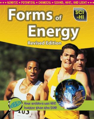 Könyv Forms of Energy Anna Claybourne