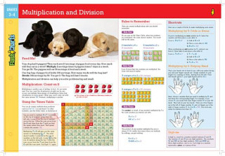 Kniha Multiplication and Division, Grades 3-4 Flash Kids