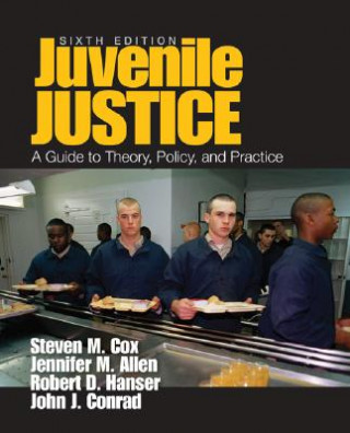Book Juvenile Justice: A Guide to Theory, Policy, and Practice John J. Conrad