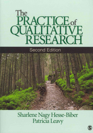 Kniha Bundle: Hesse-Biber, the Practice of Qualitative Research 2e + Kirk, Reliability and Validity in Qualitative Research + McCrac Sharlene J. (Janice) Nagy Hesse-Biber