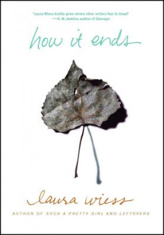 Kniha How It Ends Laura Wiess