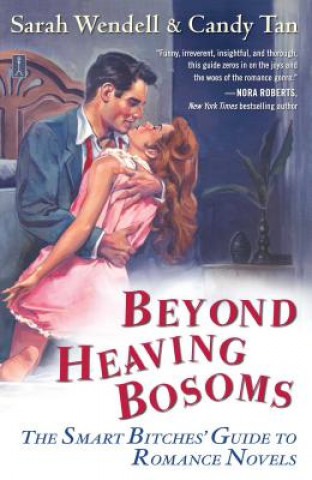 Könyv Beyond Heaving Bosoms: The Smart Bitches' Guide to Romance Novels Sarah Wendell