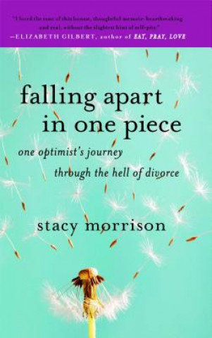 Knjiga Falling Apart in One Piece Stacy Morrison