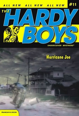 Livre Hurricane Joe Franklin W Dixon