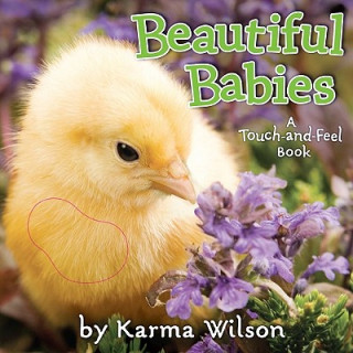 Carte Beautiful Babies Karma Wilson