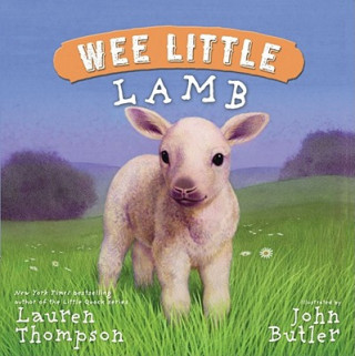 Książka Wee Little Lamb Lauren Thompson