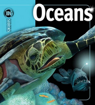 Könyv Oceans Beverly McMillan